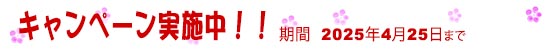 お得な購入キャンペーンを実施中!